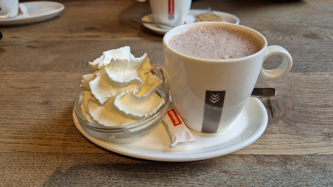 Opinii despre 't Borrelhuis în Hasselt - Horeca