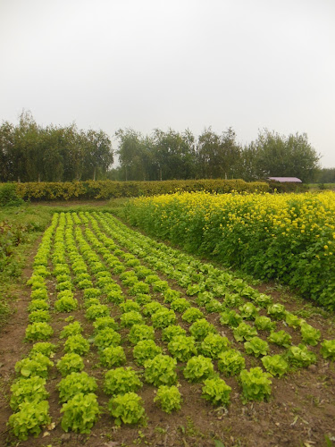 Opinii despre La ferme Bio Comines în Komen-Waasten - Horeca