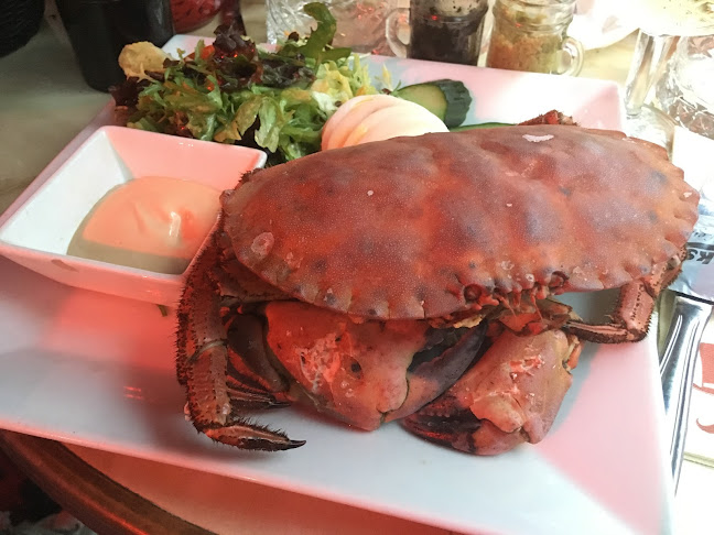 Opinii despre Grand Café De Rooden Hoed în Antwerpen - Horeca