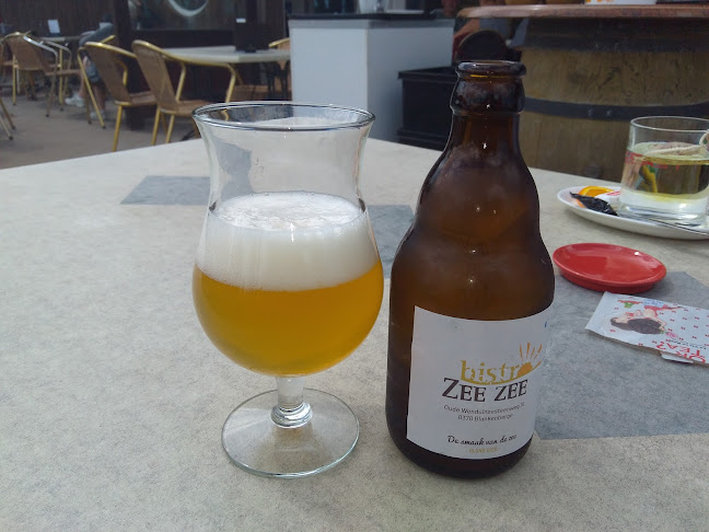 Wenduinse Steenweg 15, 8370 Blankenberge