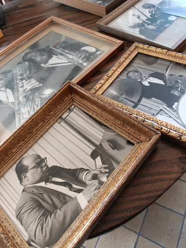 Comentarii opinii despre HADDOK