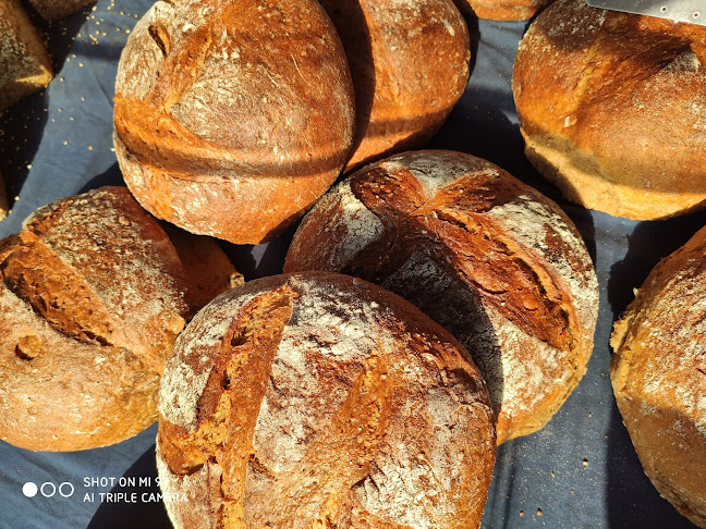 Comentarii opinii despre Pain au levain Generation