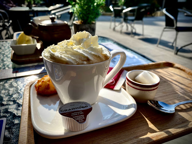 Reviews of Onder De Olijfboom in Kortrijk - Horeca