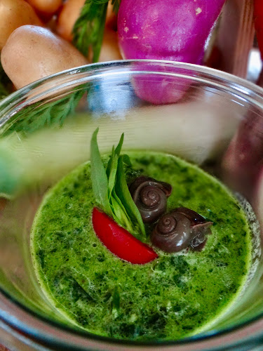 Comentarii opinii despre Bocow