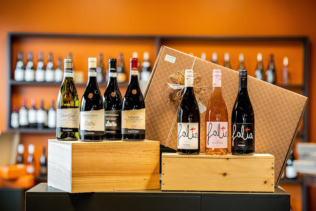 Delivino wijnhandel BV - Maldegem