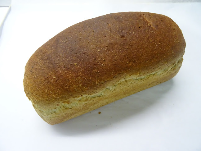 Nestor de Tièrestraat 12, 9700 Oudenaarde