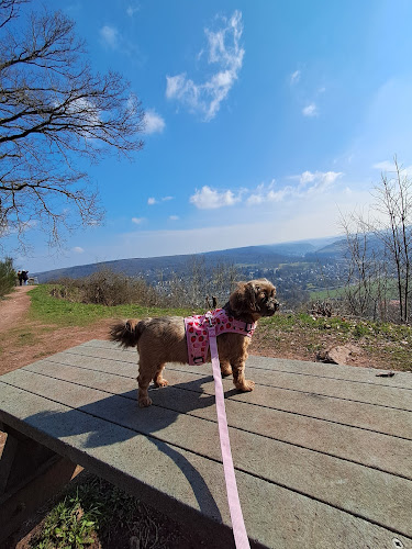 Les 7 Meuses Restaurant & Accommodation Insolites Wellness Hôteliers & Familiaux - Profondeville