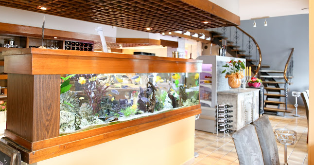 San Remo - Sint-Pieters-Leeuw