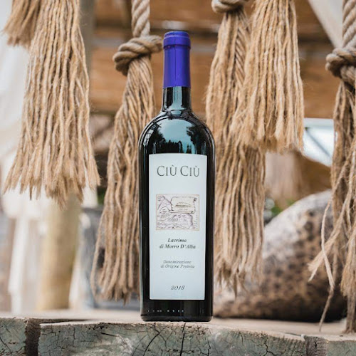 Dolio Vinum - Horeca