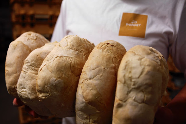 Bakkerij Ponnet - Zottegem