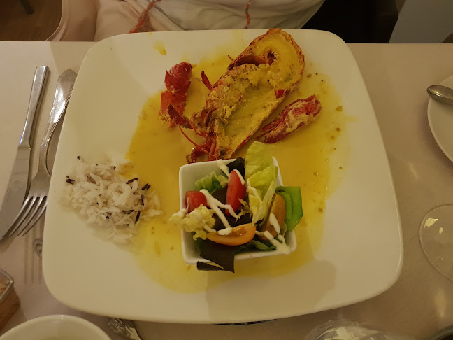 Lobster - Horeca