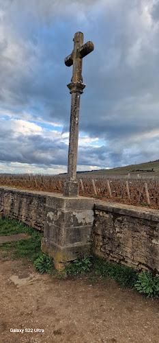 Comentarii opinii despre Eric-Dixvins