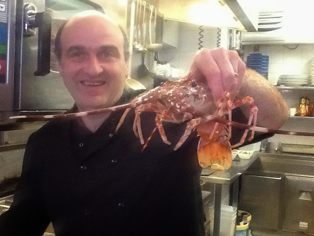 Lobster - Horeca
