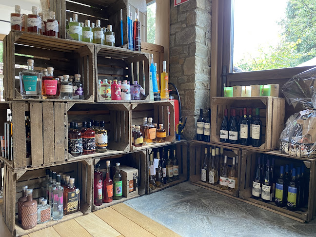 Comentarii opinii despre Originell