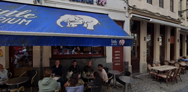 Little Delirium - Horeca