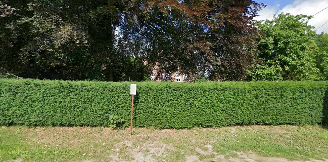 Opinii despre Caviste - Magasin de vins Leroy Prévot în Binche - Horeca