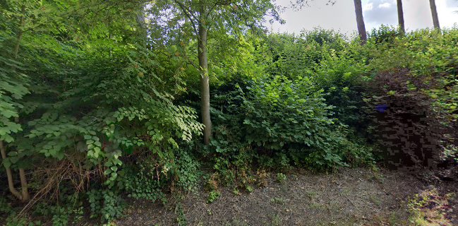 Steack house & bar’s La Louviere