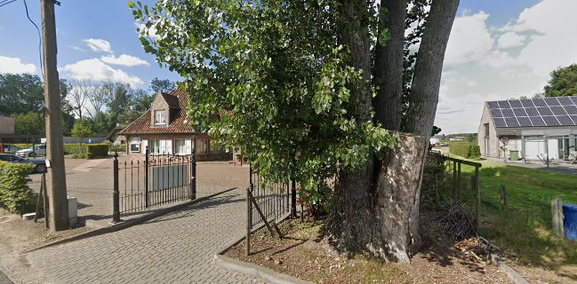 Comentarii opinii despre Bavohoeve