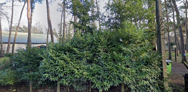 Comentarii opinii despre Bistro Flo & Co